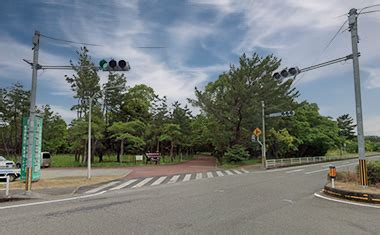 ハッテン 宮崎|【ハッテン場・公園】阿波岐原森林公園